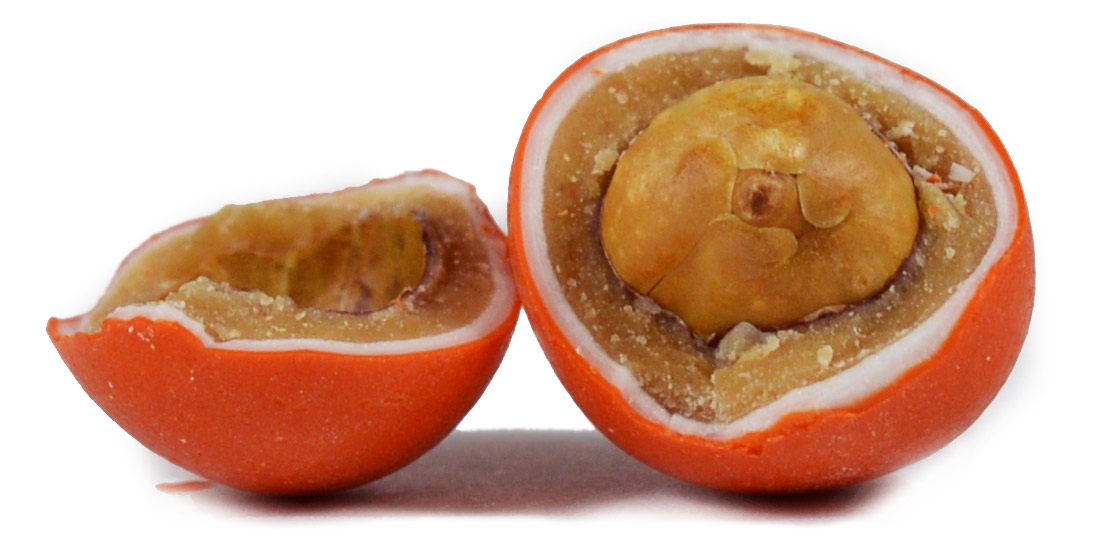 Reese's Pieces Peanut